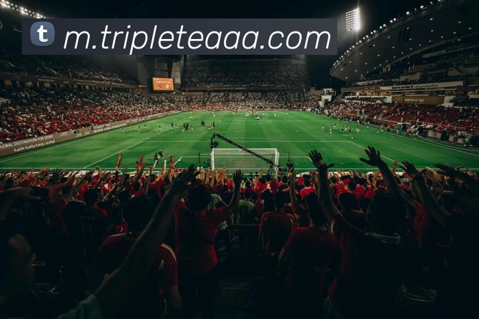 App功能展示图